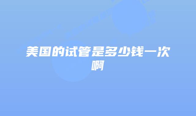 美国的试管是多少钱一次啊