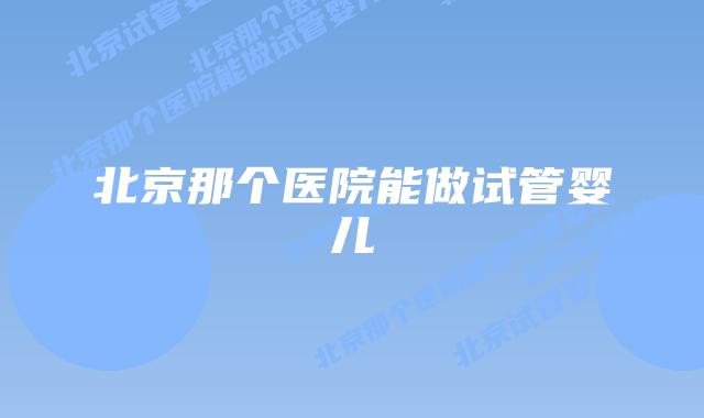北京那个医院能做试管婴儿