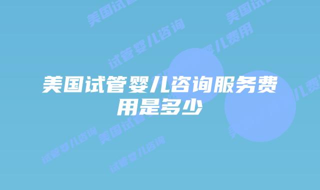 美国试管婴儿咨询服务费用是多少