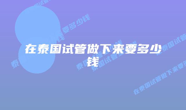 在泰国试管做下来要多少钱