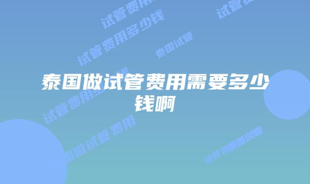 泰国做试管费用需要多少钱啊