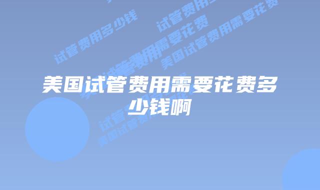 美国试管费用需要花费多少钱啊