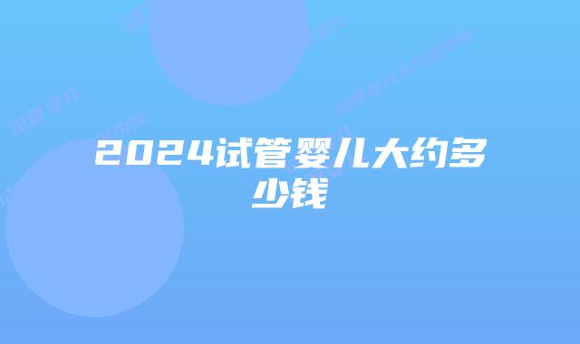2024试管婴儿大约多少钱