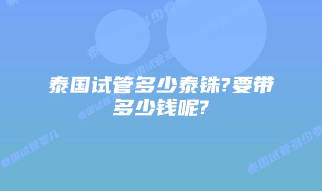 泰国试管多少泰铢?要带多少钱呢?