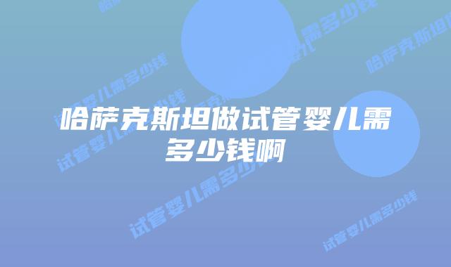 哈萨克斯坦做试管婴儿需多少钱啊