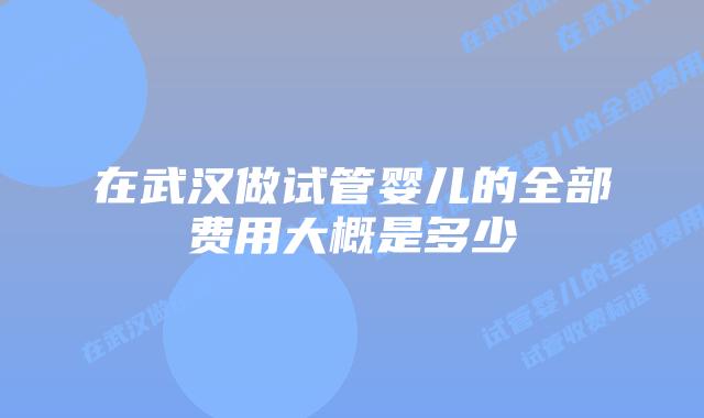 在武汉做试管婴儿的全部费用大概是多少