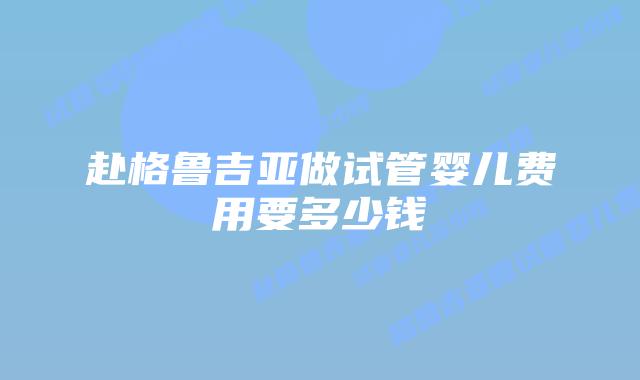 赴格鲁吉亚做试管婴儿费用要多少钱