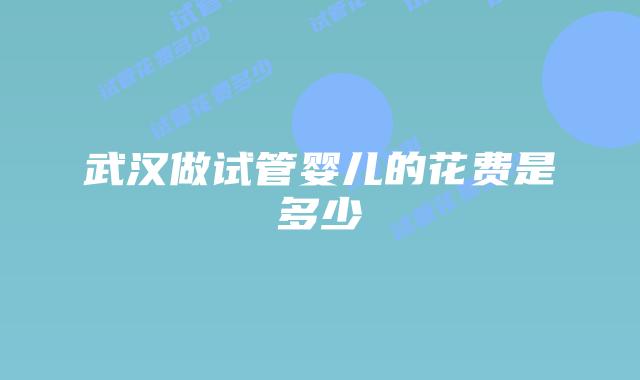 武汉做试管婴儿的花费是多少