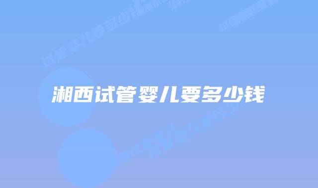 湘西试管婴儿要多少钱