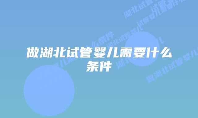 做湖北试管婴儿需要什么条件