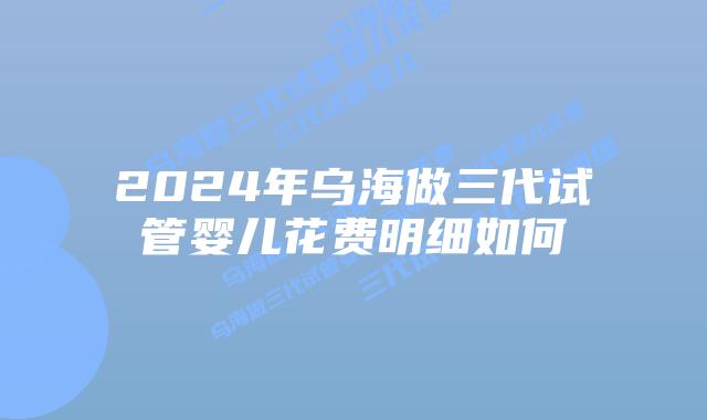 2024年乌海做三代试管婴儿花费明细如何