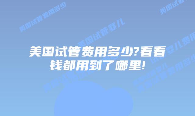 美国试管费用多少?看看钱都用到了哪里!
