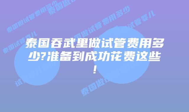 泰国吞武里做试管费用多少?准备到成功花费这些!
