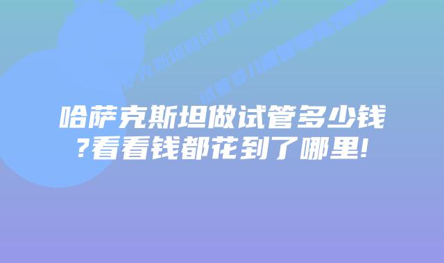 哈萨克斯坦做试管多少钱?看看钱都花到了哪里!