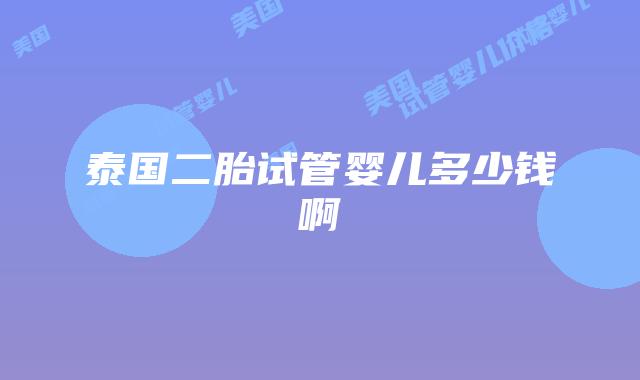 泰国二胎试管婴儿多少钱啊