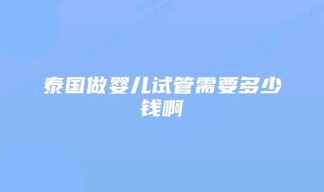 泰国做婴儿试管需要多少钱啊