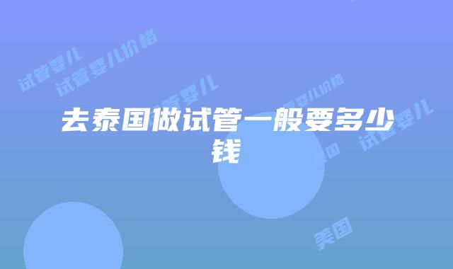 去泰国做试管一般要多少钱