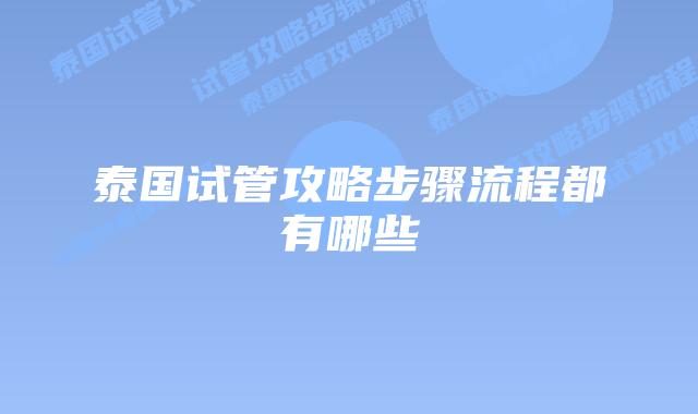 泰国试管攻略步骤流程都有哪些