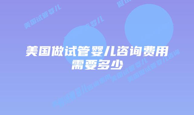 美国做试管婴儿咨询费用需要多少