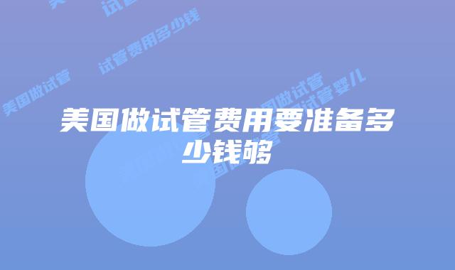 美国做试管费用要准备多少钱够
