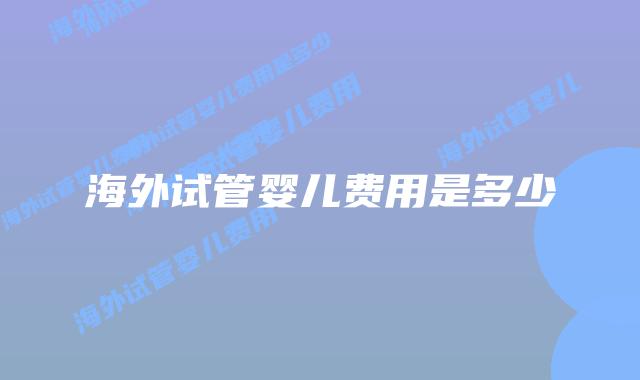 海外试管婴儿费用是多少