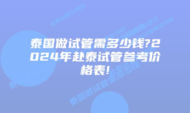 泰国做试管需多少钱?2024年赴泰试管参考价格表!