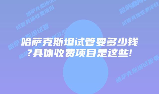 哈萨克斯坦试管要多少钱?具体收费项目是这些!