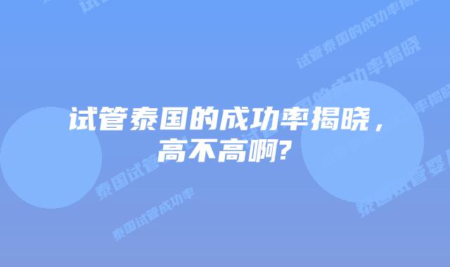 试管泰国的成功率揭晓，高不高啊?
