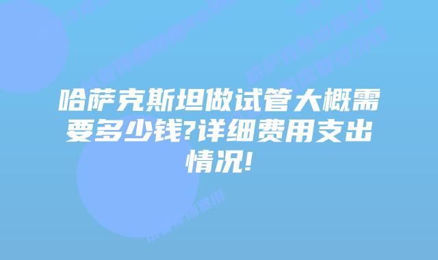 哈萨克斯坦做试管大概需要多少钱?详细费用支出情况!