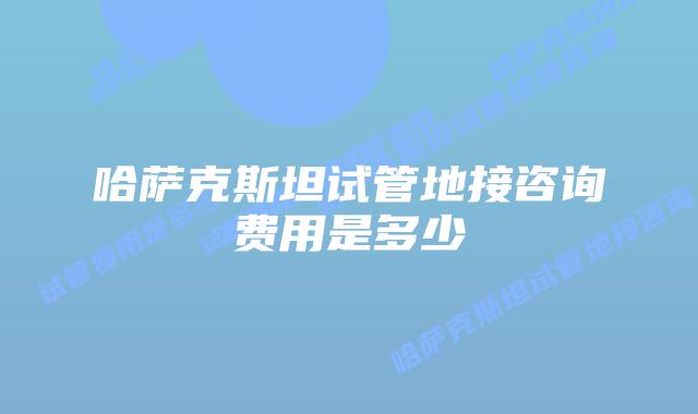 哈萨克斯坦试管地接咨询费用是多少