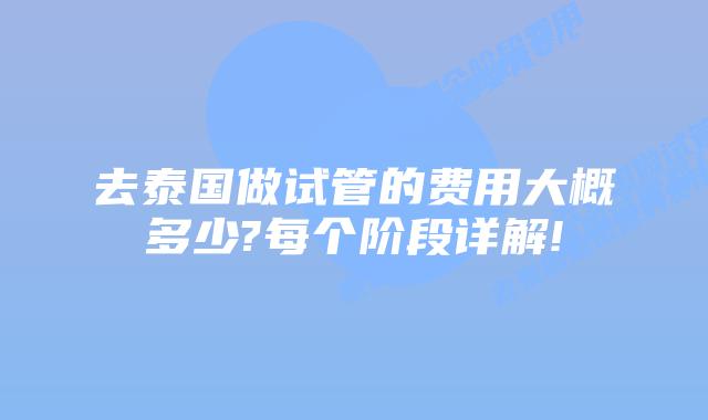 去泰国做试管的费用大概多少?每个阶段详解!