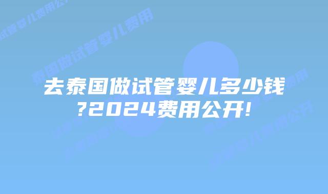 去泰国做试管婴儿多少钱?2024费用公开!