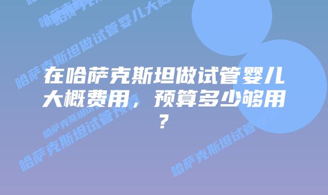 在哈萨克斯坦做试管婴儿大概费用,预算多少够用?