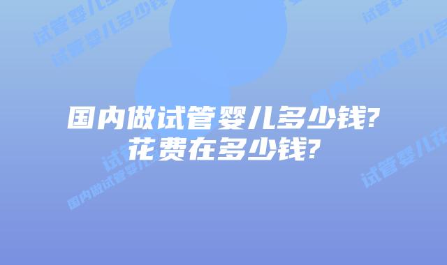国内做试管婴儿多少钱?花费在多少钱?