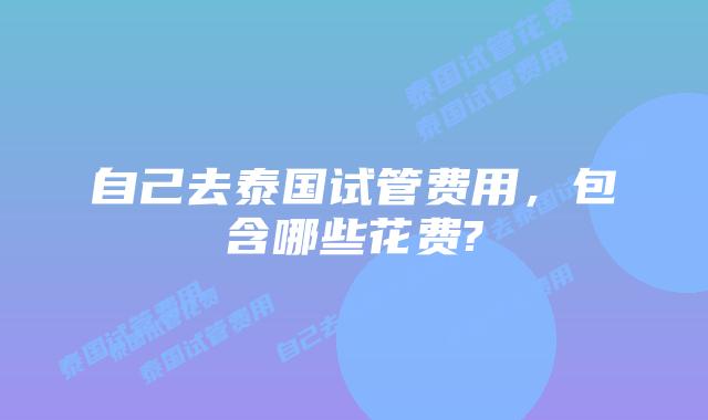 自己去泰国试管费用，包含哪些花费?
