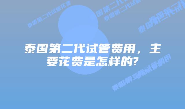 泰国第二代试管费用，主要花费是怎样的?