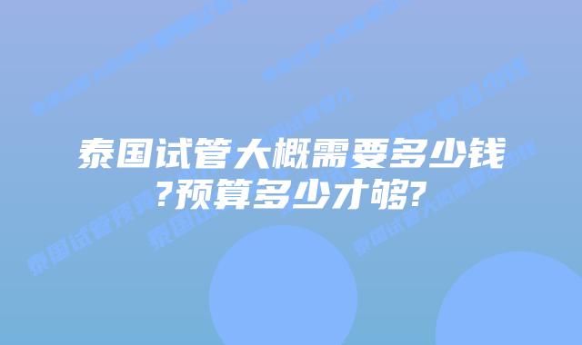 泰国试管大概需要多少钱?预算多少才够?