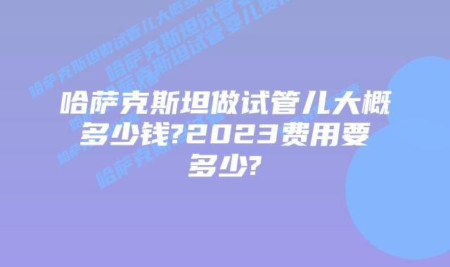 哈萨克斯坦做试管儿大概多少钱?2023费用要多少?