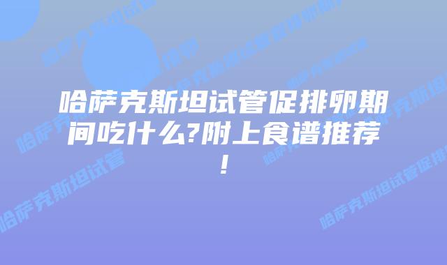哈萨克斯坦试管促排卵期间吃什么?附上食谱推荐!