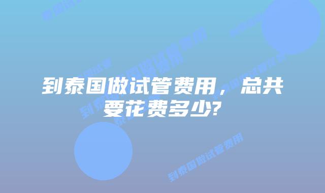 到泰国做试管费用,总共要花费多少?