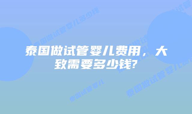 泰国做试管婴儿费用,大致需要多少钱?