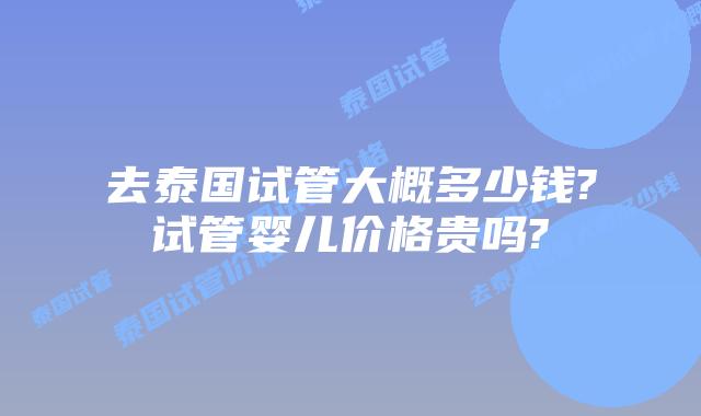 去泰国试管大概多少钱?试管婴儿价格贵吗?