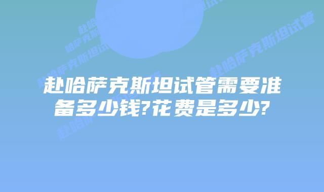 赴哈萨克斯坦试管需要准备多少钱?花费是多少?