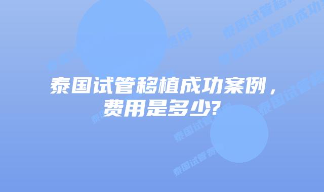 泰国试管移植成功案例，费用是多少?