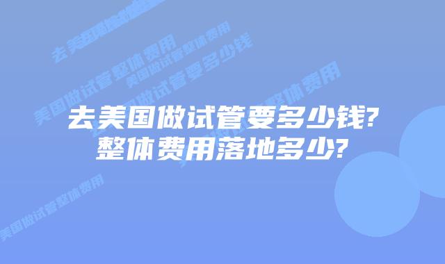 去美国做试管要多少钱?整体费用落地多少?