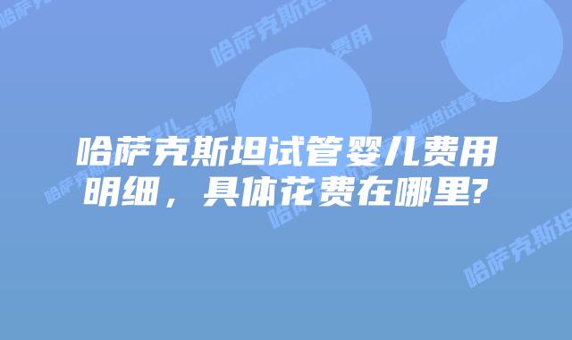 哈萨克斯坦试管婴儿费用明细，具体花费在哪里?