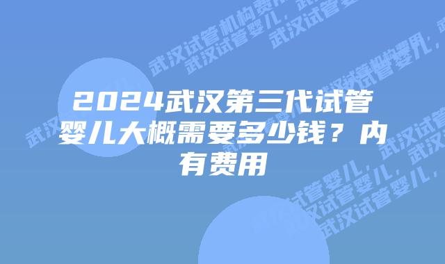 2024武汉第三代试管婴儿大概需要多少钱？内有费用