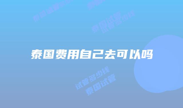 泰国费用自己去可以吗