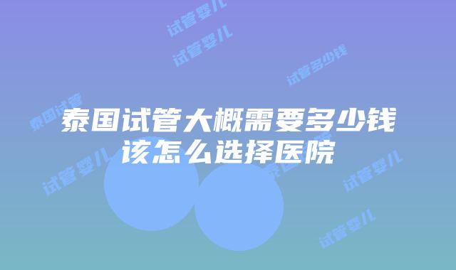 泰国试管大概需要多少钱该怎么选择医院