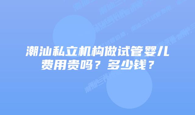 潮汕私立机构做试管婴儿费用贵吗？多少钱？